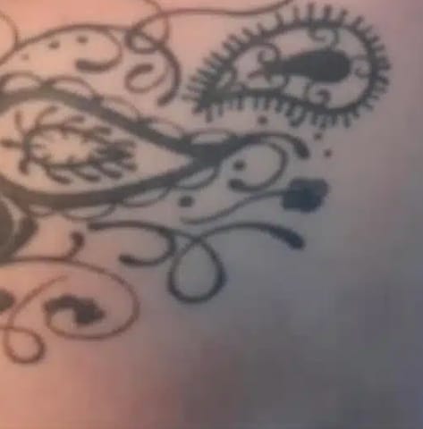 Tattoo before laser tattoo removal at Winter Park Tattoo Removal
